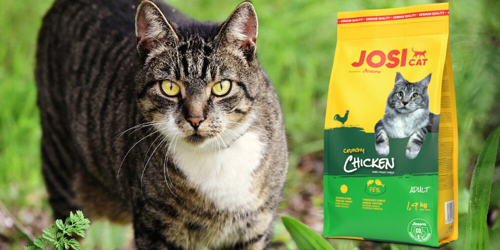 Karma dla kota JOSERA JosiCat Crunchy Chicken Kurczak 1.9 kg witaminy pierwiastki aminokwasy