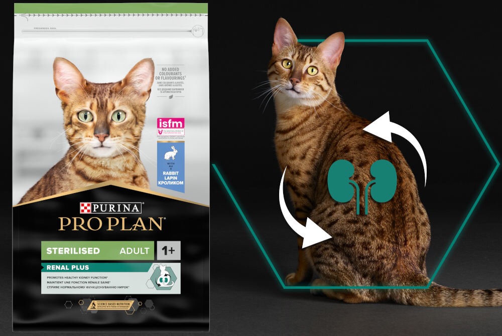 Karma dla kota PURINA Pro Plan Sterilised Renal Plus Królik 10 kg witaminy zdrowie