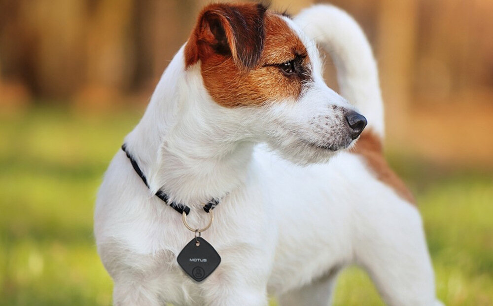 Lokalizator MOTUS Find Me Czarny stylowy breloczek procesor U1 Ultra Wideband szerokopasmowa komunikacja radiowa szybki transfer danych sznureczek do mocowania