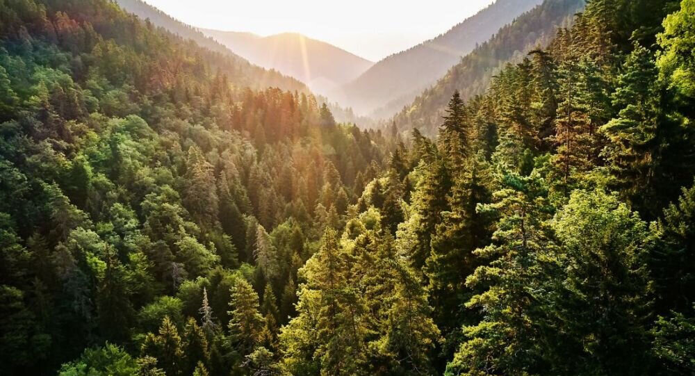 Komputer DELL OptiPlex 7010 SFF Plus i5-13500 16GB RAM 512GB SSD Windows 11 Professional certyfikaty EPEAT Gold Energy Star 39% materiałów pochodzących z recyklingu