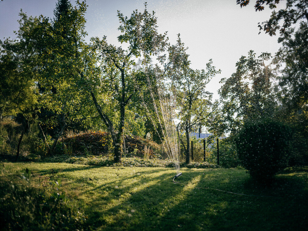 Zraszacz FISKARS 1070832, zraszacz, trawnik, nawadnianie, oszczędność, zraszacz pracuje w ogrodzie w słoneczny dzień wśród drzew i krzewów