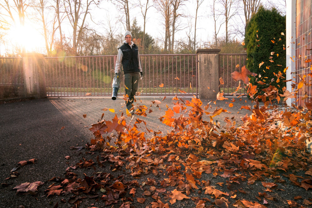 Dmuchawa do liści akumulatorowa KARCHER LB 930-36 Bp Pack 1.042-508.0 ogród podjazd osoba zdmuchuje liście z podjazdu w tle metalowy płot drzewa krzewy niebo porządek sprzątanie zadbany ogród