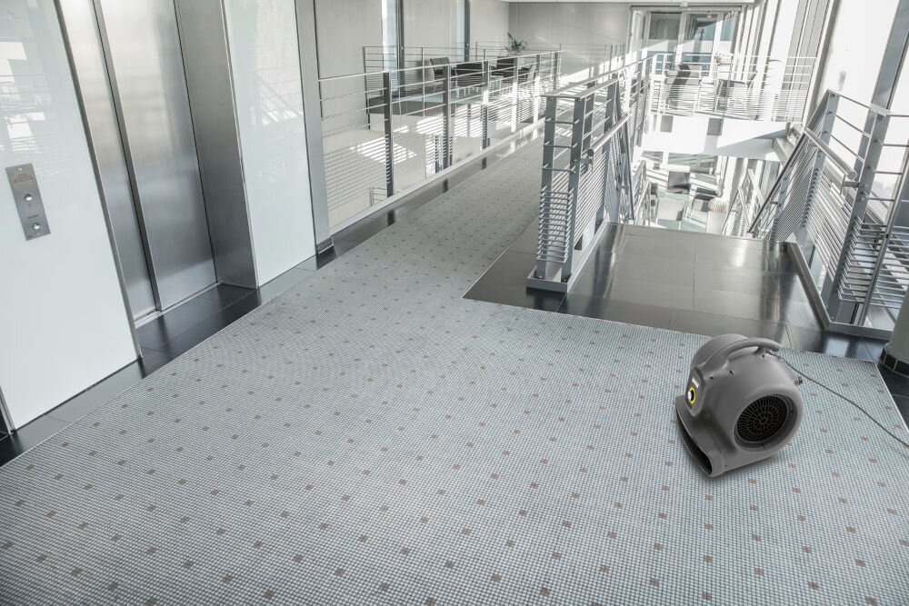 Dmuchawa elektryczna KARCHER AB 20 EC moc poziom hałasu silnik indukcyjny