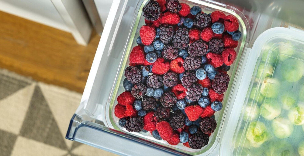 ZAMRAŻARKA GORENJE FN619EAW6 szybkie zamrażanie fast freeze oszczędność energii intensywne obniżanie temperatury