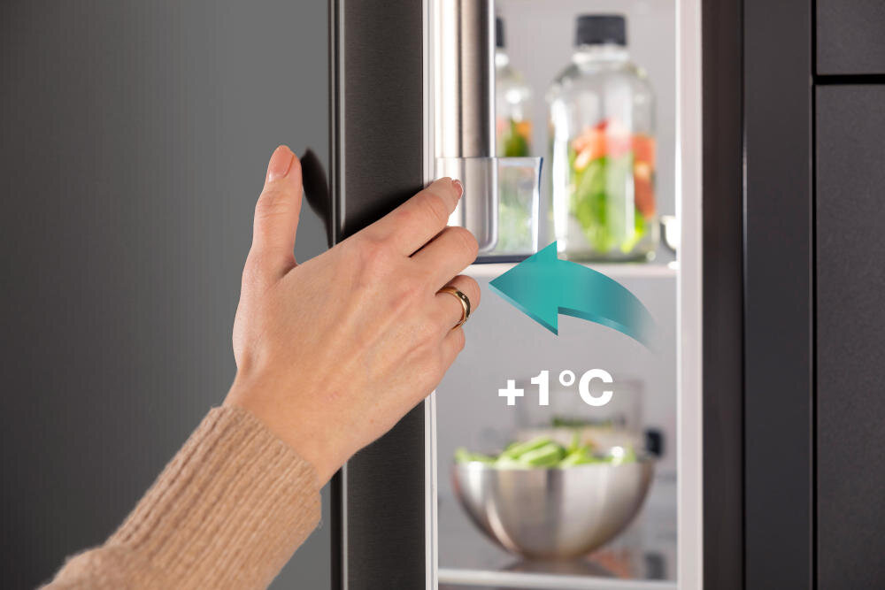 HISENSE RB470N4EFC1 technologia smrt fresh świeżość lodówka temperatura otwieranie drzwi obniżanie energia