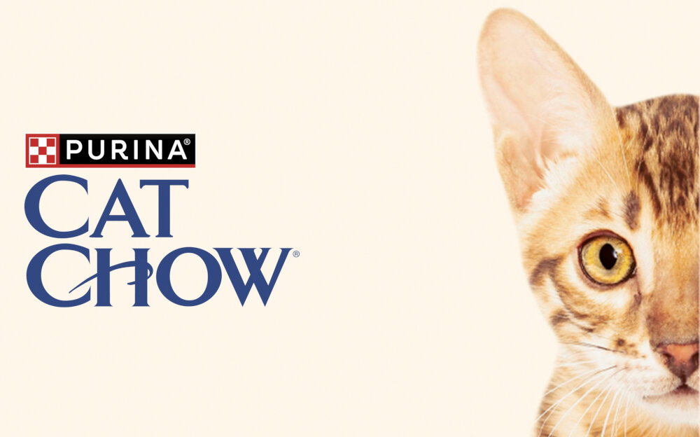 Karma dla kota CAT CHOW Adult Wołowina z bakłażanem 85 g saszetka na tle dla kotów dla dorosłych kotów pełna porcja