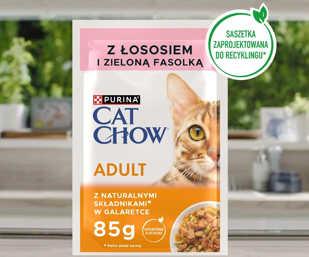 Karma dla kota CAT CHOW Adult Łosoś z zieloną fasolką 85 g saszetka na tle dla kotów dla dorosłych kotów pełna porcja