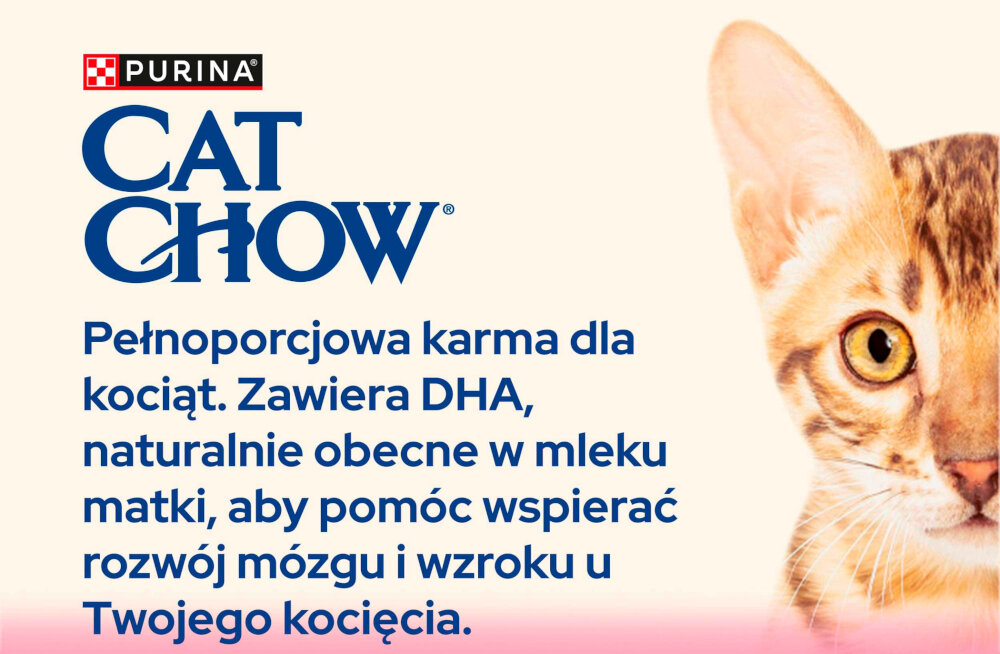 Karma dla kota CAT CHOW Kitten Bogata w kurczaka 1.5 kg grafika kotka na tle napis CAT CHOW dla kociaków pełnoporcjowa krama karma sucha