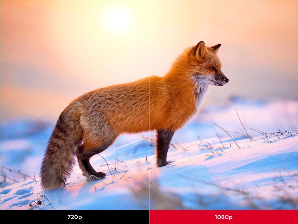 Projektor VIEWSONIC PX704HD Full HD 1080p ostry obraz i czytelne detale, list stojący na śniegu