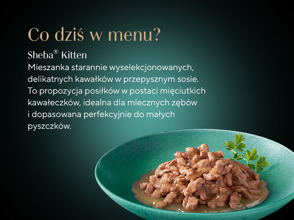 Karma dla kota SHEBA Kitten Kurczak z łososiem (4 x 85 g) skład talerz z karmą w sosie