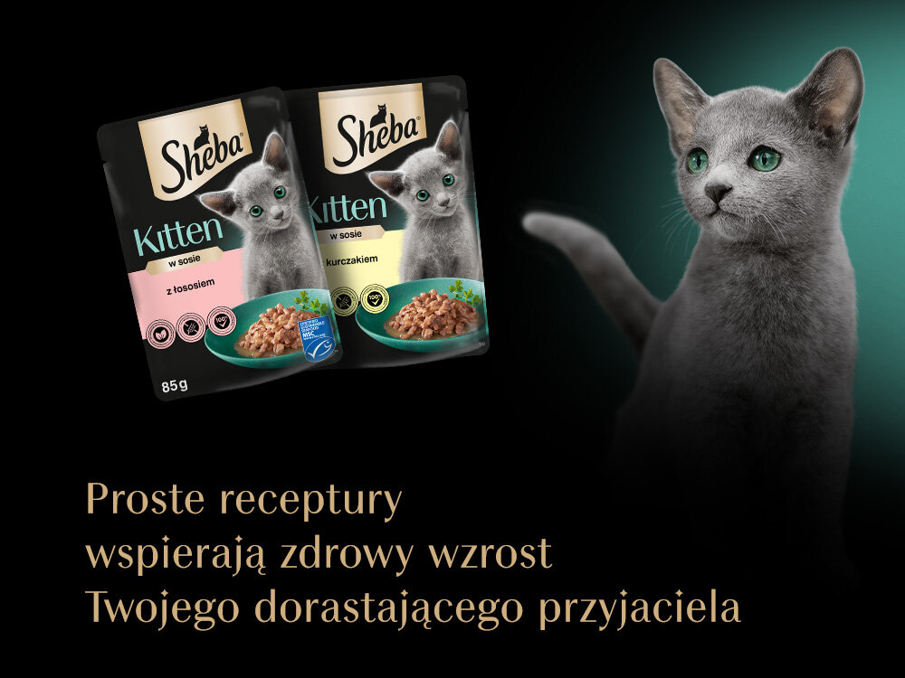 Karma dla kota SHEBA Junior Wybór Smaków (40 x 85 g) Sposób karmienia wielopak saszetek zbliżenie na tackę i saszetkę