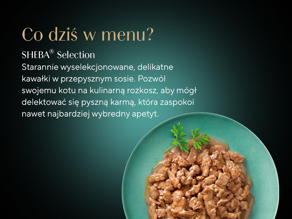 Karma dla kota SHEBA Selection Select Slices Drobiowe Smaki (40 x 85 g) skład talerz z karmą w sosie