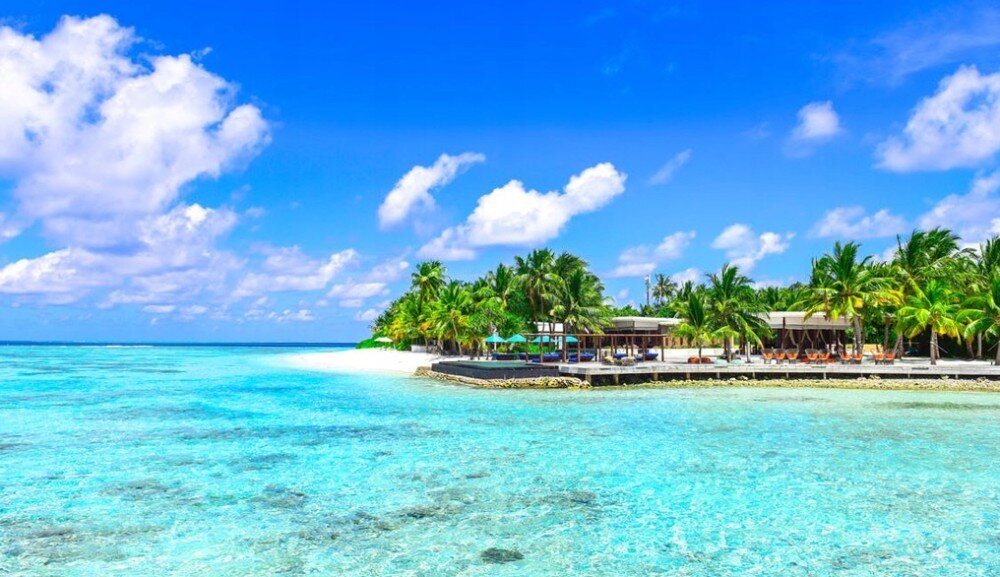 Kamera sportowa SJCAM C200 Pro Czarny przeznaczenie sensor jakość obraz