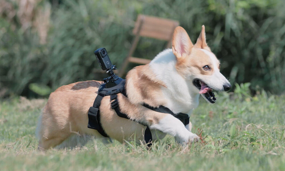 Kamera sportowa SJCAM C200 Pro Czarny stabilizacja drgania