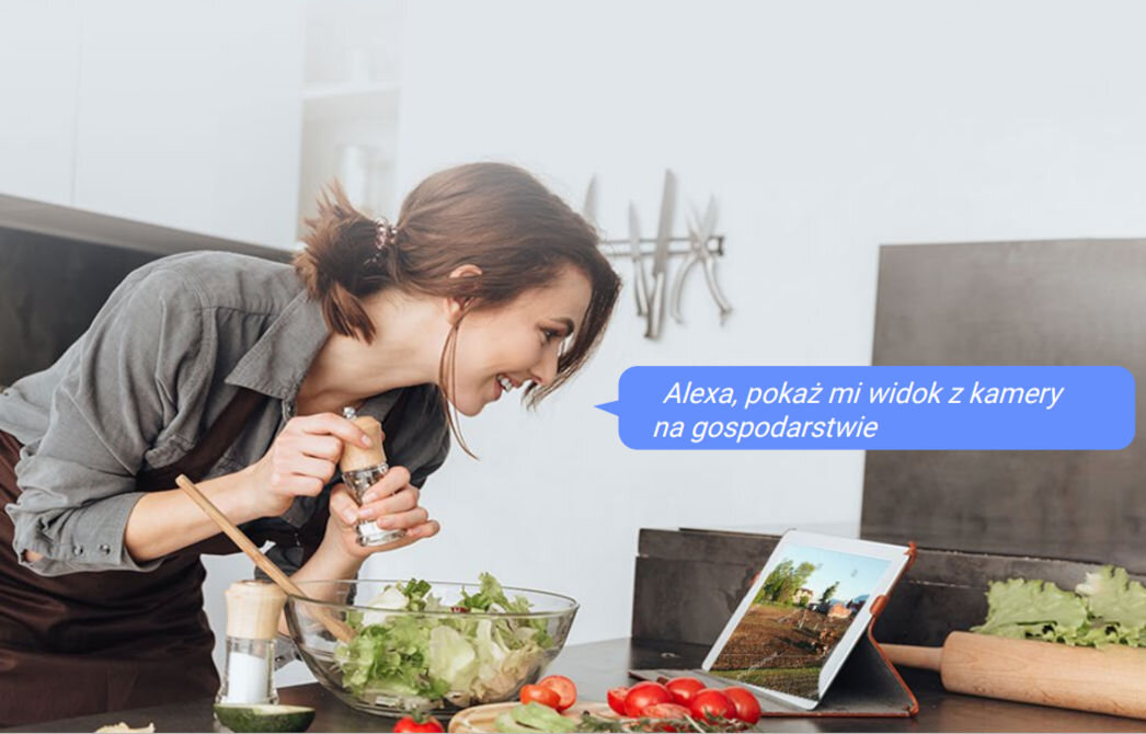 Kamera EZVIZ EB8 + Panel solarny dedykowana aplikacja Ezviz asystent głosowy Google Amazon Alexa