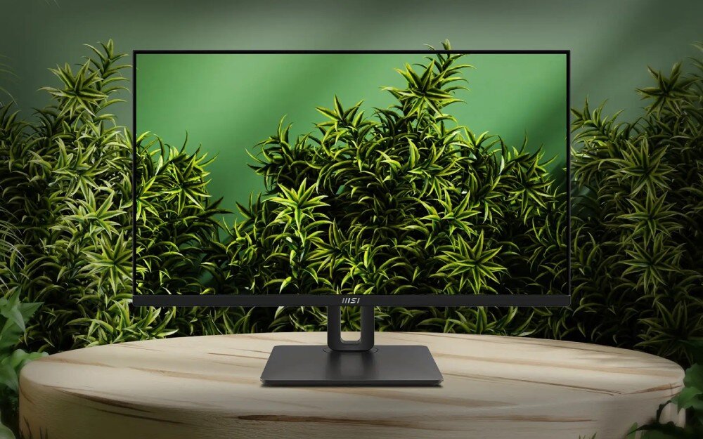 Monitor MSI PRO MP251P 24.5 1920x1080px IPS 100Hz 1 ms [MPRT] obraz jakość rozdzielczość kolory