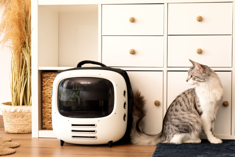 Transporter dla psa i kota CECOTEC Pumba 1800 Travel Fan 09564 kot siedzący obok transporteraz bezpieczny wygodny stylowy