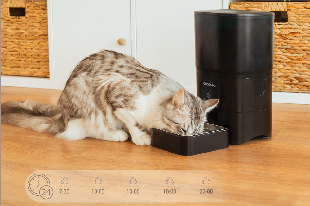 Dozownik karmy automatyczny CECOTEC Pumba 6000 Purrfect Meal 09565 kot jedzący z miski w dozowniku oś czasu reprezentująca godziny karmienia do 6 litrów pojemność sterowanie funkcje