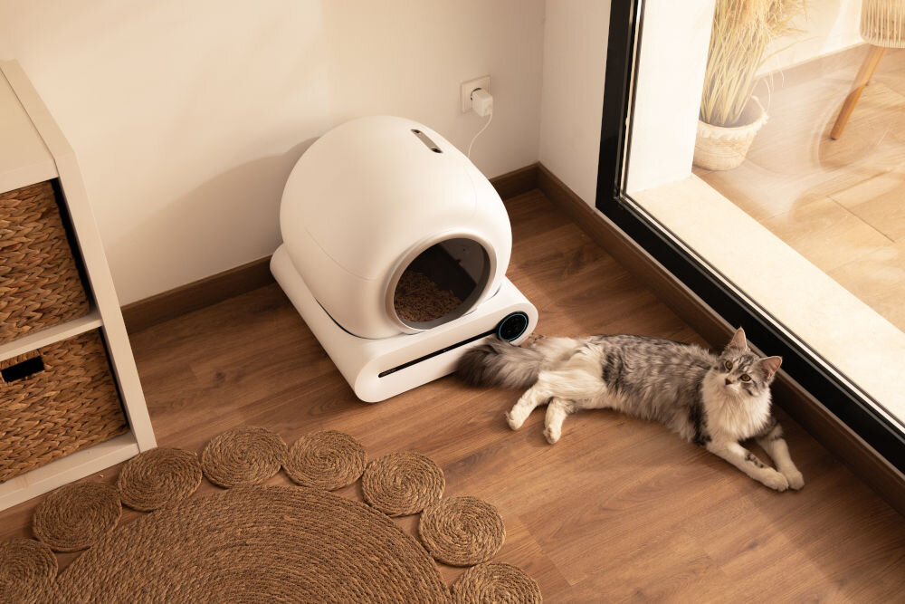 Inteligentna kuweta dla kota CECOTEC Pumba 8000 CleanKitty kot leżący przy oknie przy wejściu do kuwety