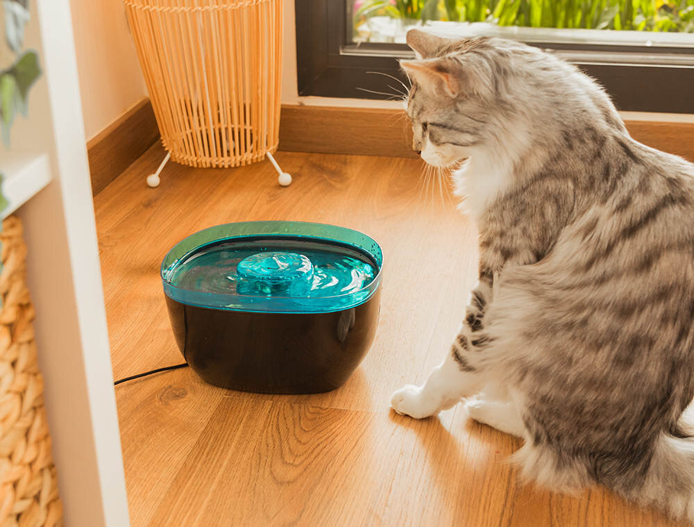 Fontanna dla zwierząt CECOTEC Pumba 2200 Refresh 09561 Duża pojemność zapas wody na wiele godzin komfort wygoda