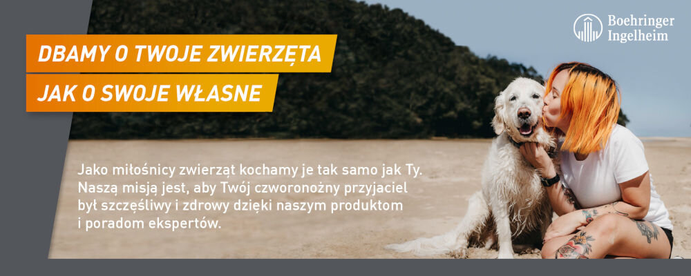 Tabletka przeciw pchłom i kleszczom FRONTPRO L (10 - 25 kg) ochrona skutecznosc