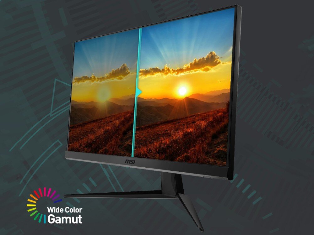 Monitor MSI G2412F 23.8 1920x1080px IPS 180Hz 1 ms [GTG] kolory kontrast barwy dokładność