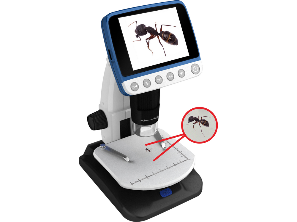 Mikroskop cyfrowy REFLECTA DigMikroskope Professional  wideo w rozdzielczości VGA lub QVGA  