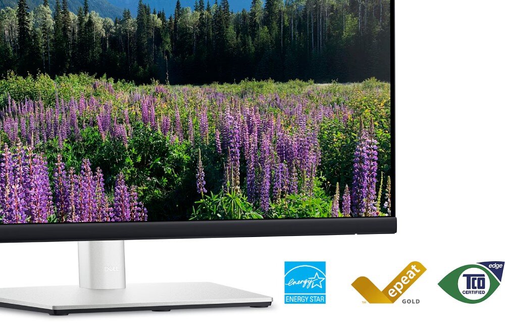 Monitor DELL P2424HEB 23.8 1920x1080px IPS ekologia środowisko recykling