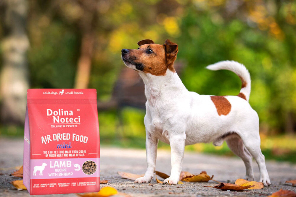 Karma dla psa suszona DOLINA NOTECI Superfood Mini Jagnięcina z krewetką 1kg dawkowanie analiza sklad