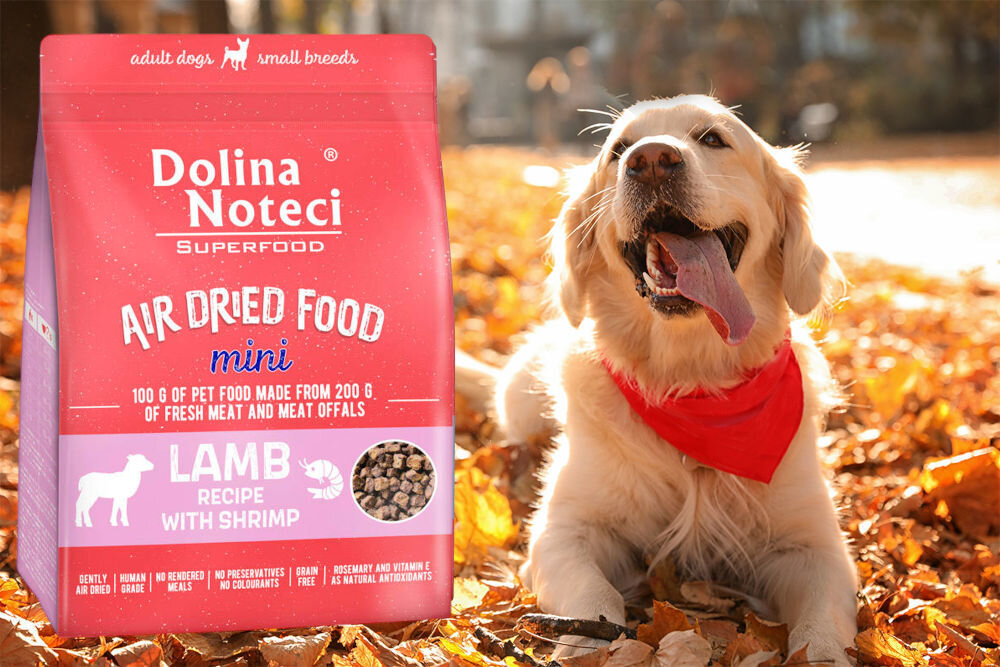Karma dla psa suszona DOLINA NOTECI Superfood Mini Jagnięcina z krewetką 1kg dawkowanie analiza sklad