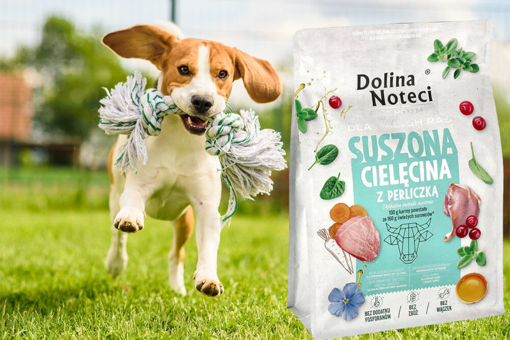 Karma dla psa suszona DOLINA NOTECI Premium dla małych ras Cielęcina z perliczką 3 kg naturalne składniki wielkość krokietów