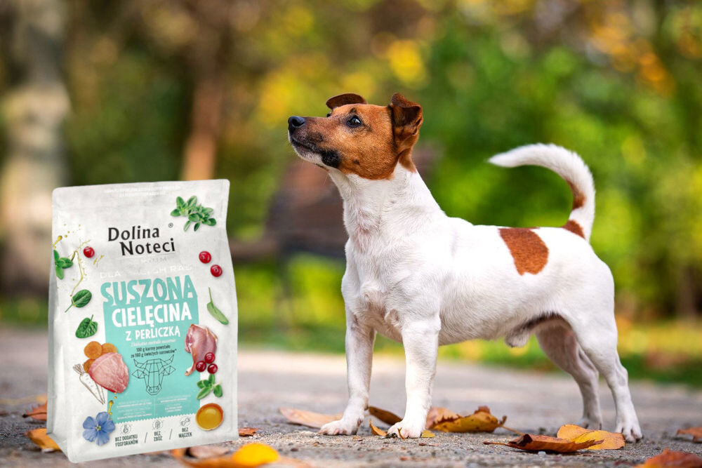 Karma dla psa suszona DOLINA NOTECI Premium dla małych ras Cielęcina z perliczką 3 kg dawkowanie analiza sklad