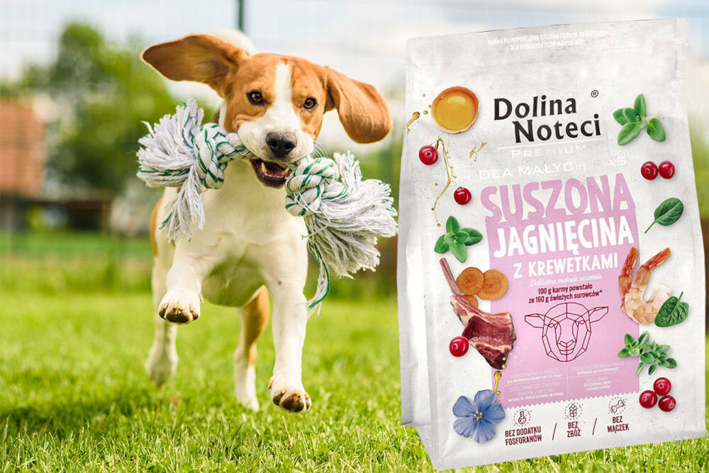 Karma dla psa suszona DOLINA NOTECI Premium dla małych ras Jagnięcina z krewetkami 3 kg naturalne składniki wielkość krokietów