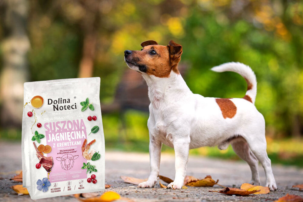 Karma dla psa suszona DOLINA NOTECI Premium dla małych ras Jagnięcina z krewetkami 3 kg dawkowanie analiza sklad