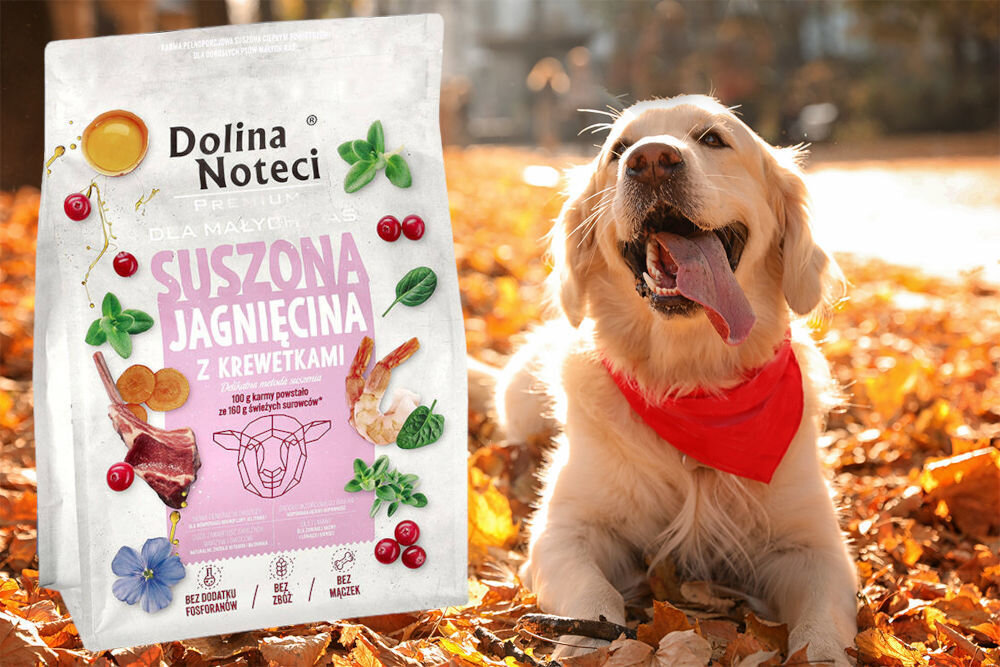 Karma dla psa suszona DOLINA NOTECI Premium dla małych ras Jagnięcina z krewetkami 3 kg dawkowanie analiza sklad