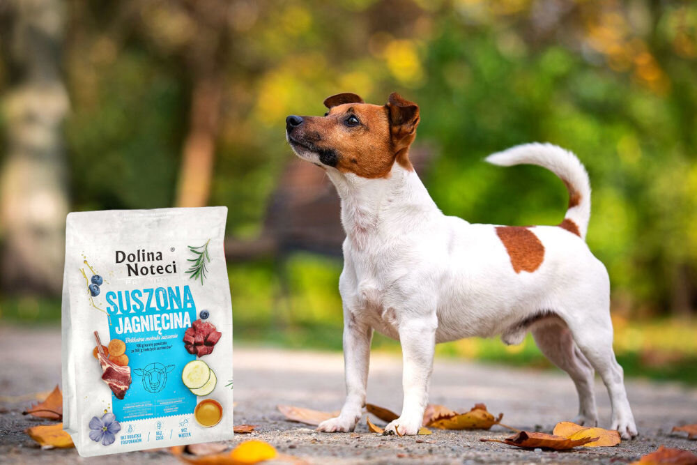 Karma dla psa suszona DOLINA NOTECI Premium Jagnięcina 3 kg dawkowanie analiza sklad