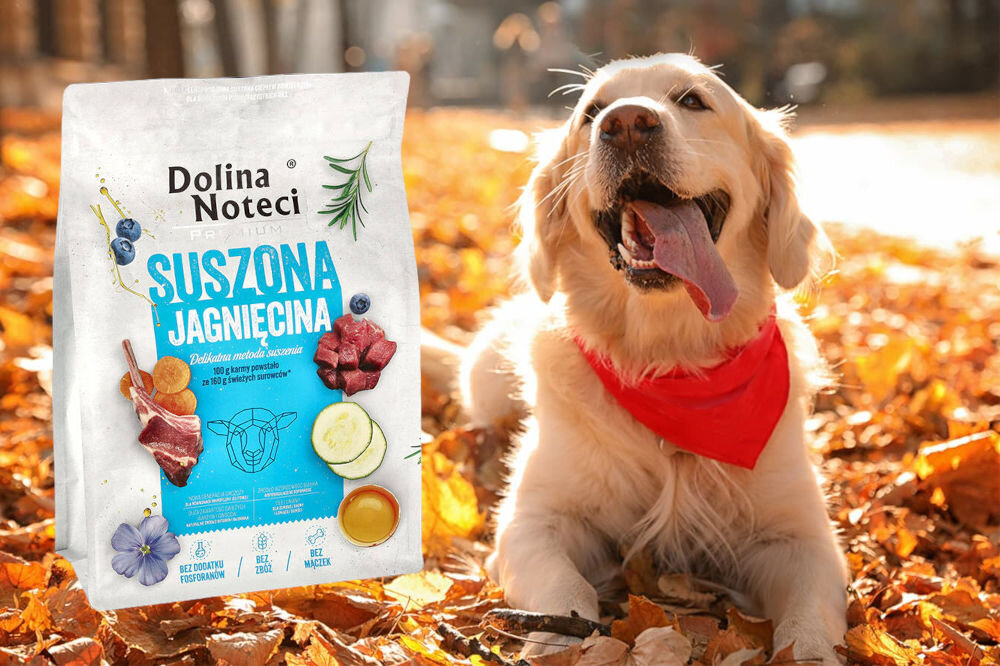 Karma dla psa suszona DOLINA NOTECI Premium Jagnięcina 3 kg dawkowanie analiza sklad