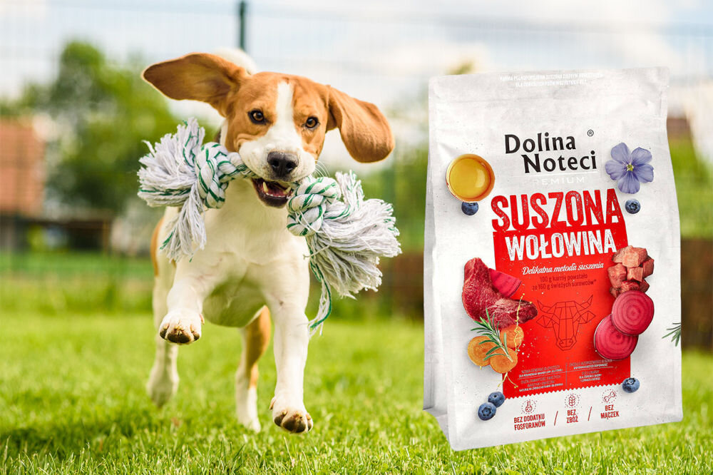 Karma dla psa suszona DOLINA NOTECI Premium Wołowina 3 kg naturalne składniki wielkość krokietów