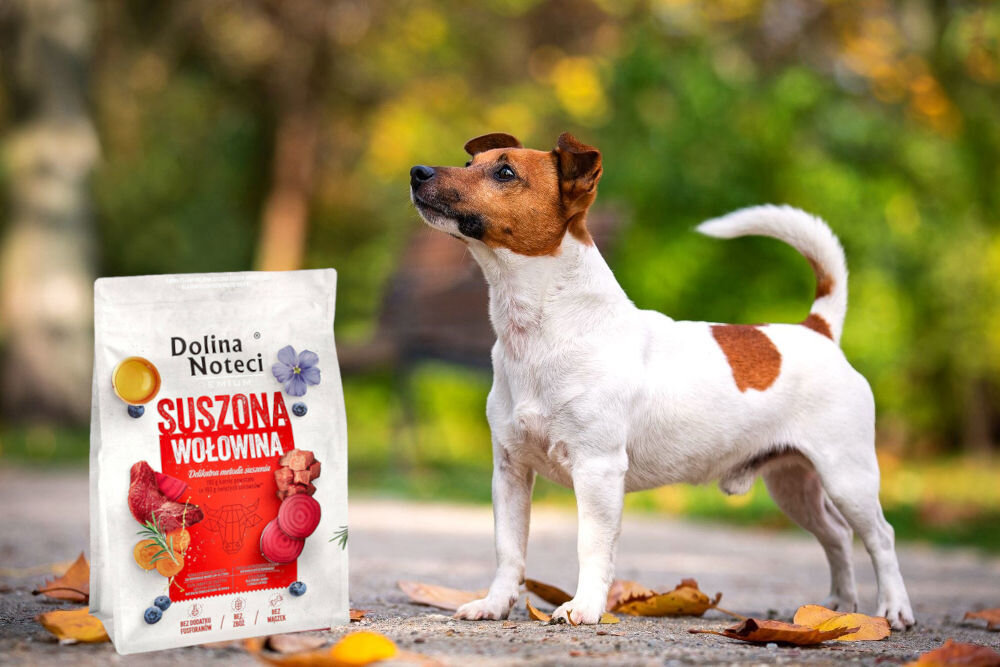 Karma dla psa suszona DOLINA NOTECI Premium Wołowina 3 kg dawkowanie analiza sklad