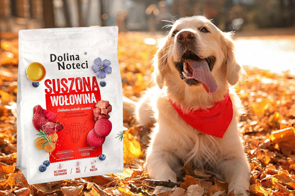 Karma dla psa suszona DOLINA NOTECI Premium Wołowina 3 kg dawkowanie analiza sklad