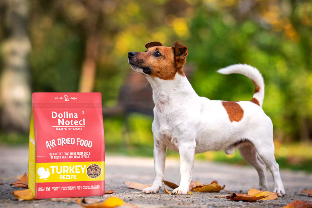 Karma dla psa DOLINA NOTECI Superfood Indyk 5 kg dawkowanie analiza sklad