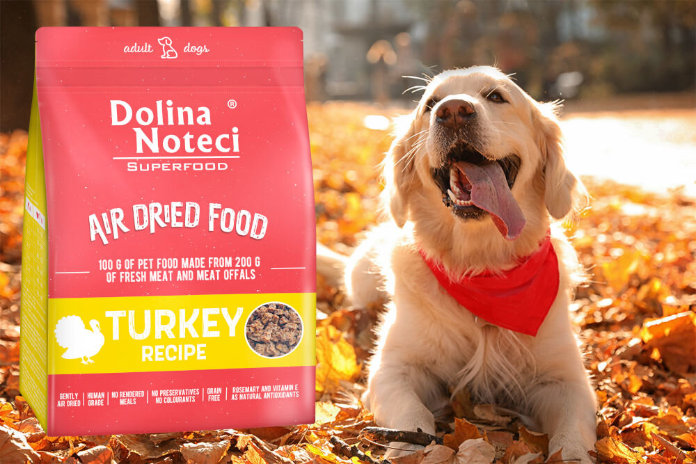 Karma dla psa DOLINA NOTECI Superfood Indyk 5 kg dawkowanie analiza sklad