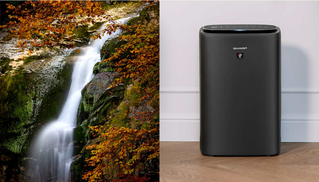 Oczyszczacz powietrza SHARP Plasmacluster UA-KIN42E-W Biały generator jonów jakość powietrze