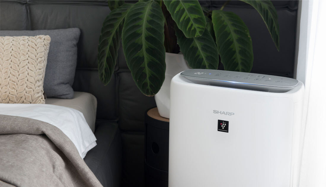 Oczyszczacz powietrza SHARP Plasmacluster UA-KIN42E-W Biały Wszechstronność czujniki PM 2.5 tryb Pollen Sleep Clean Ion Shower