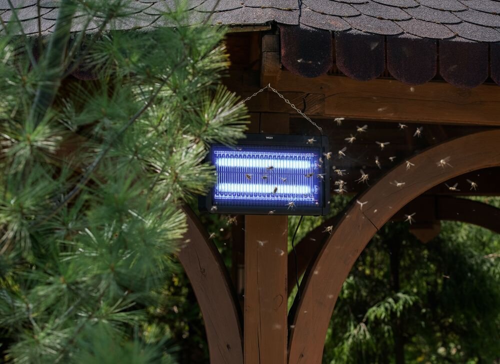 Lampa owadobójcza emituje niebieskie światło i jest zawieszona na drewnianej konstrukcji. Wokół lampy widoczne są owady przyciągnięte światłem.