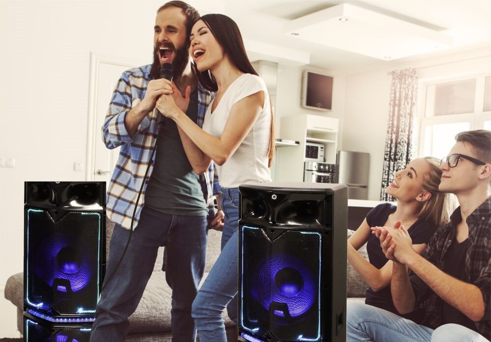 Power audio MANTA Minos SPK1201X500D (2 Głośniki)  - karaoke