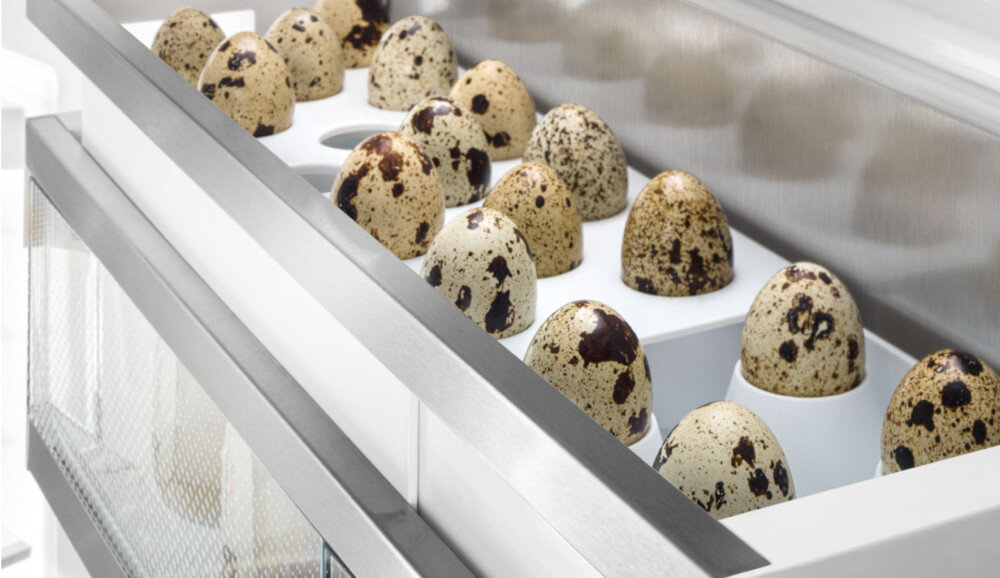 CHŁODZIARKA LIEBHERR RD 4200 EASYFRESH podstawka na jajka 2 w 1 oszczędność miejsca jajka przechowywanie