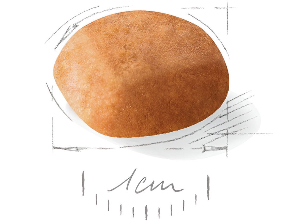 Karma dla psa ROYAL CANIN BHN Golden Retriever Puppy 1 kg naturalne składniki krokiet o średnicy około 1 cm