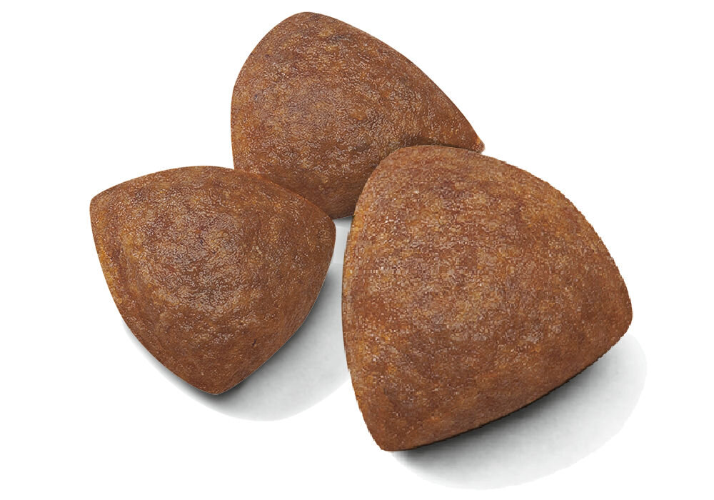 Karma dla psa ROYAL CANIN SHN Medium Starter M&B 4 kg naturalne składniki grafika z krokietami