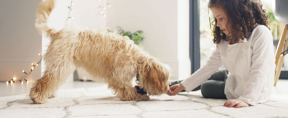 Odkurzacz BISSELL SpotClean Pet Plus 37241 dla właściciewli zwierząt codzienne zabrudzenia specjalistyczne narzedzia kompaktowa budowa plamy nieprzyjemne zapachy zanieczyszczenia czyste świeże powierzchnie